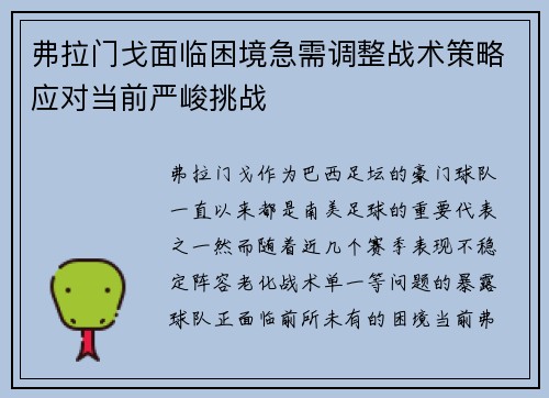 弗拉门戈面临困境急需调整战术策略应对当前严峻挑战
